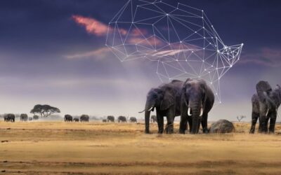 2Africa subsea cable to boost connectivity across Africa