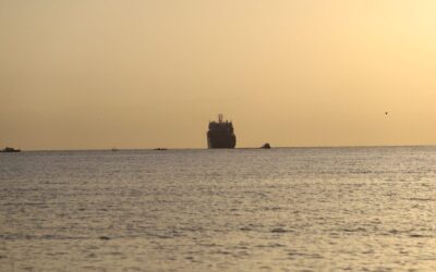 Submarine Cable Repairs: Djibouti Telecom Informs Its Customers of Service Resumption