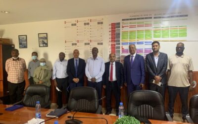 Working meeting with Teleyemen